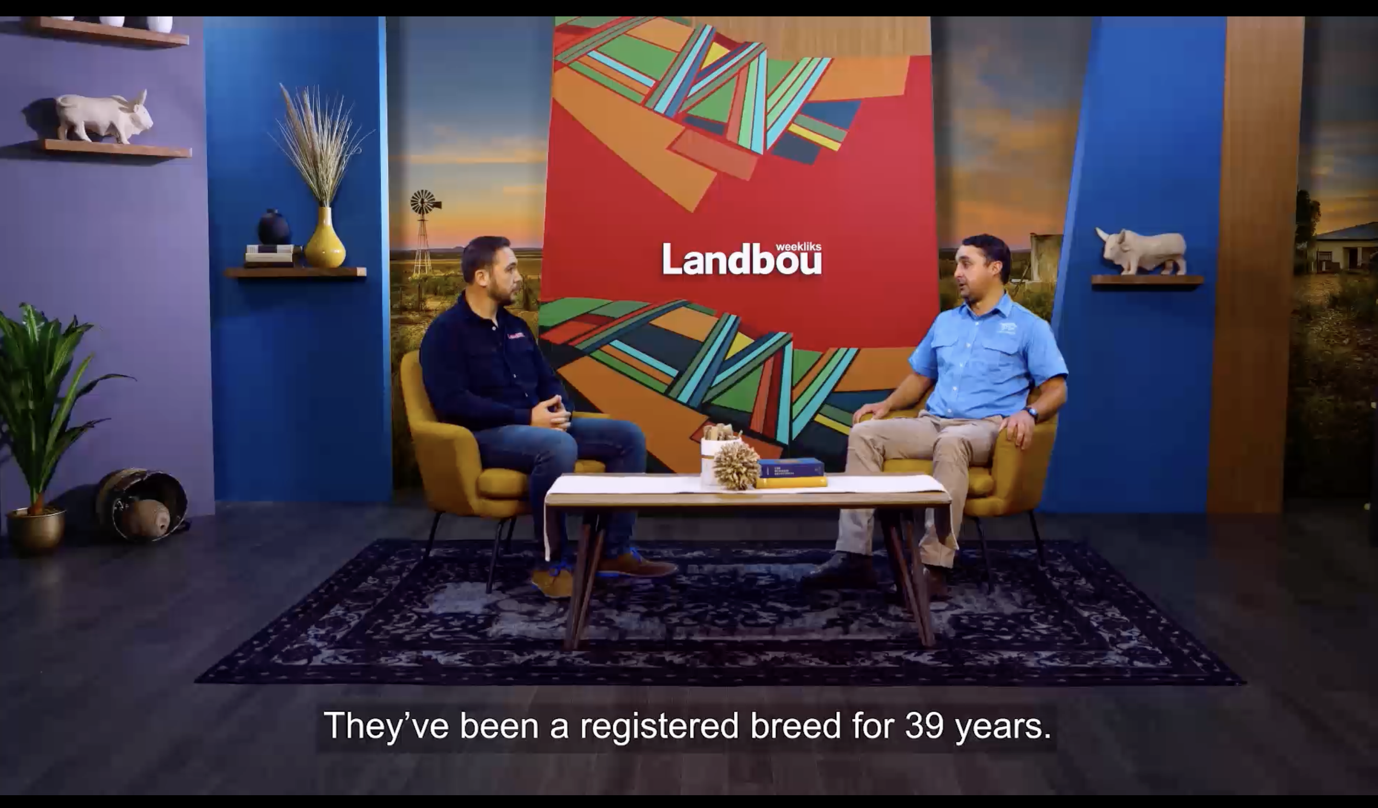 Kinnear gesels met Gerrit Bezuidenhout op Landbouweekliks oor "hoekom die Brangusras"